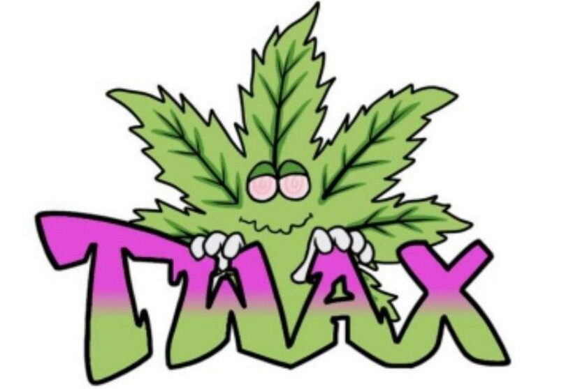 twaxdisposable.com