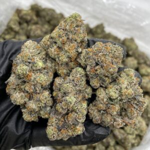 White Rainbow Strain
