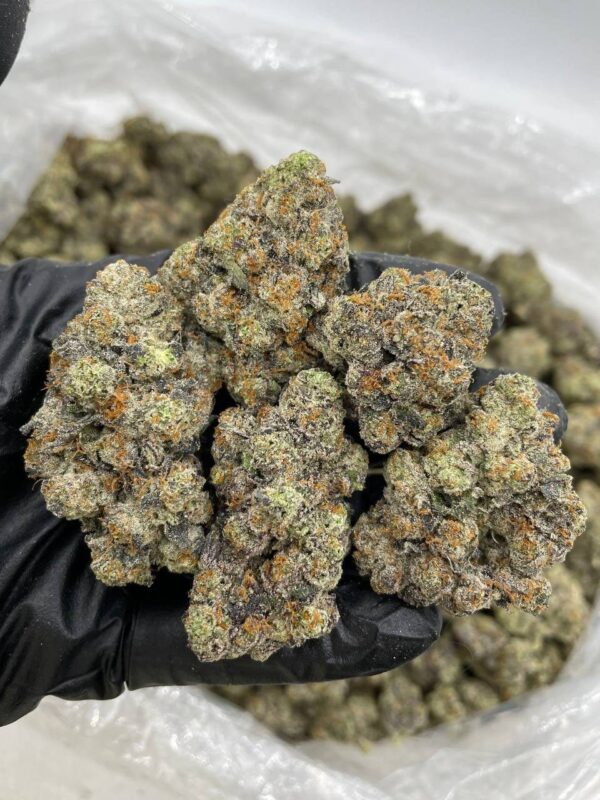 White Rainbow Strain