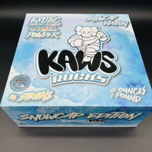 Kaws Rocks Moon Rocks